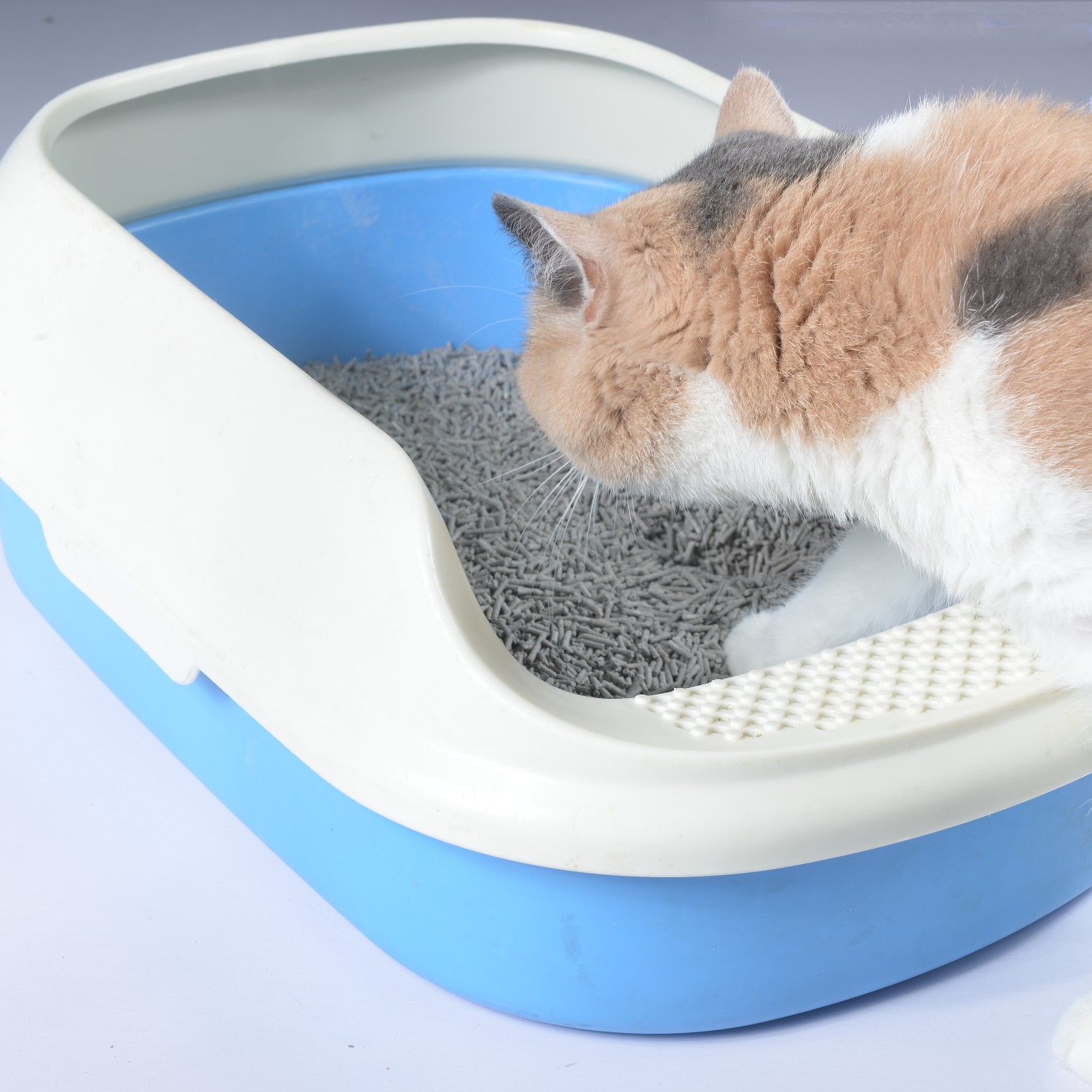 OEM Charcoal Tofu Cat Litter