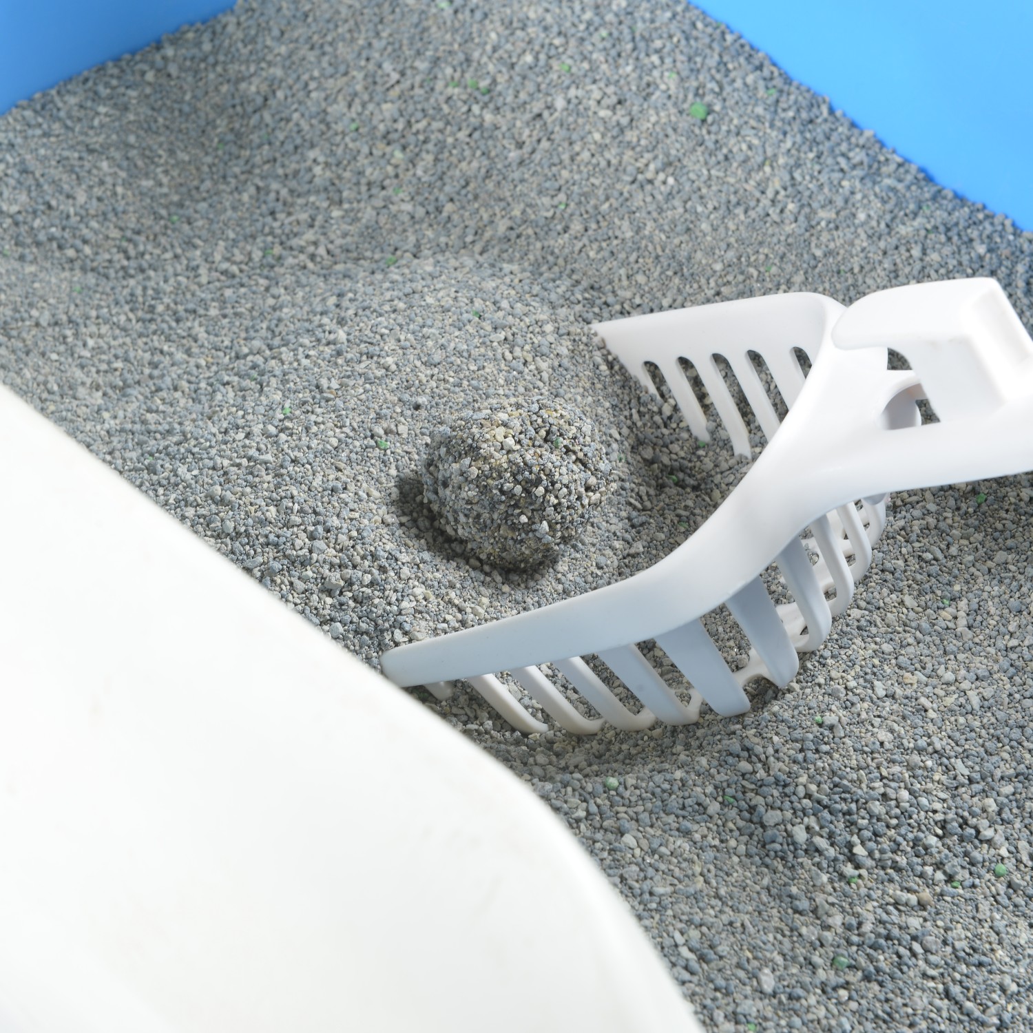 Premium Crushed Mineral Bentonite Cat Litter